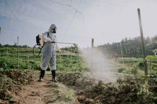 Best Pest Control Treatment  in Jennings Lodge, OR