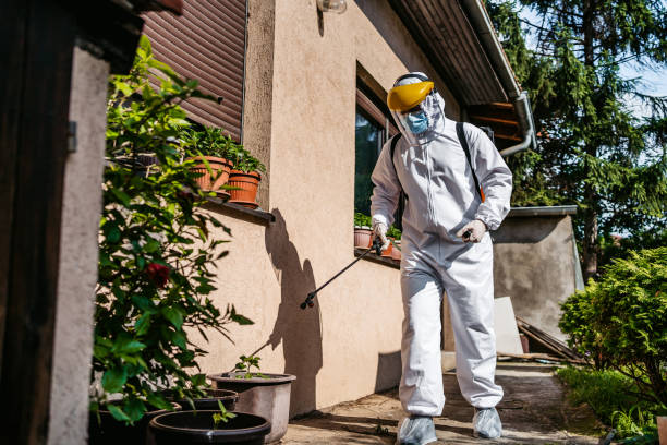 Best Local Pest Control Services  in Jennings Lodge, OR