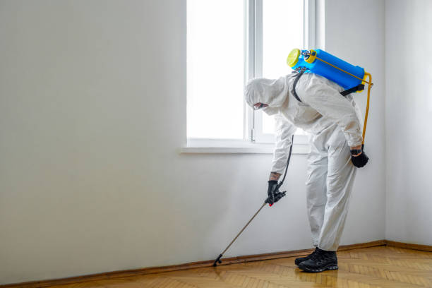 Best Local Pest Control Services  in Jennings Lodge, OR