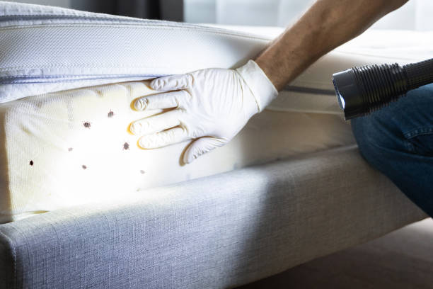 Best Cockroach Control Services  in Jennings Lodge, OR
