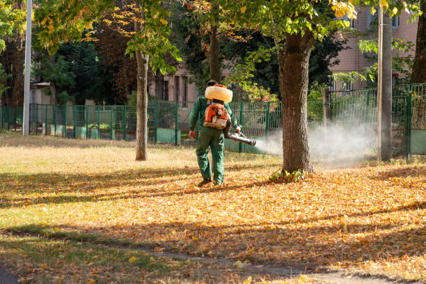 Best Best Pest Control Companies  in Jennings Lodge, OR