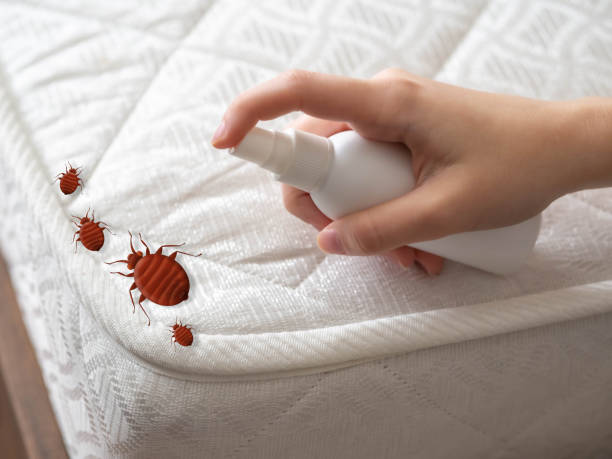 Best Best Pest Control Companies  in Jennings Lodge, OR