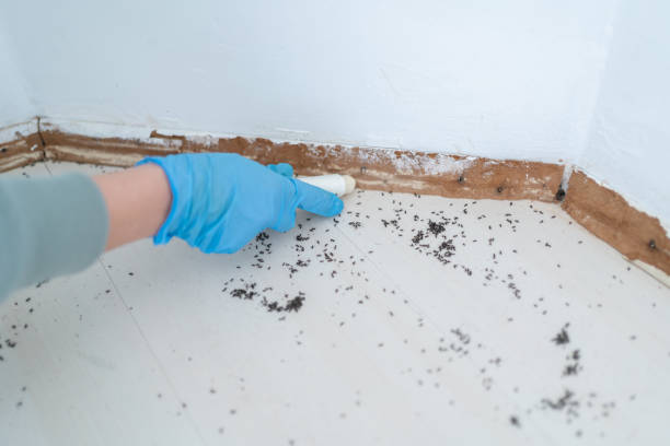 Best Rat Extermination Near Me  in Jennings Lodge, OR