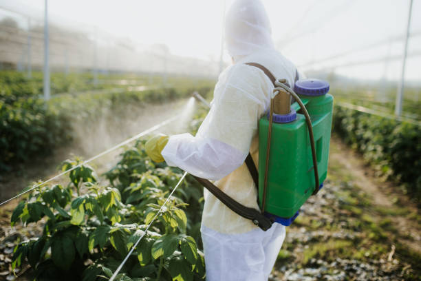Best Exterminator Services  in Jennings Lodge, OR
